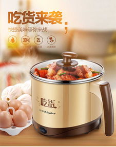 荣事达Royalstar 2升电煮锅DZG20A 小巧厨房里的全能料理助手